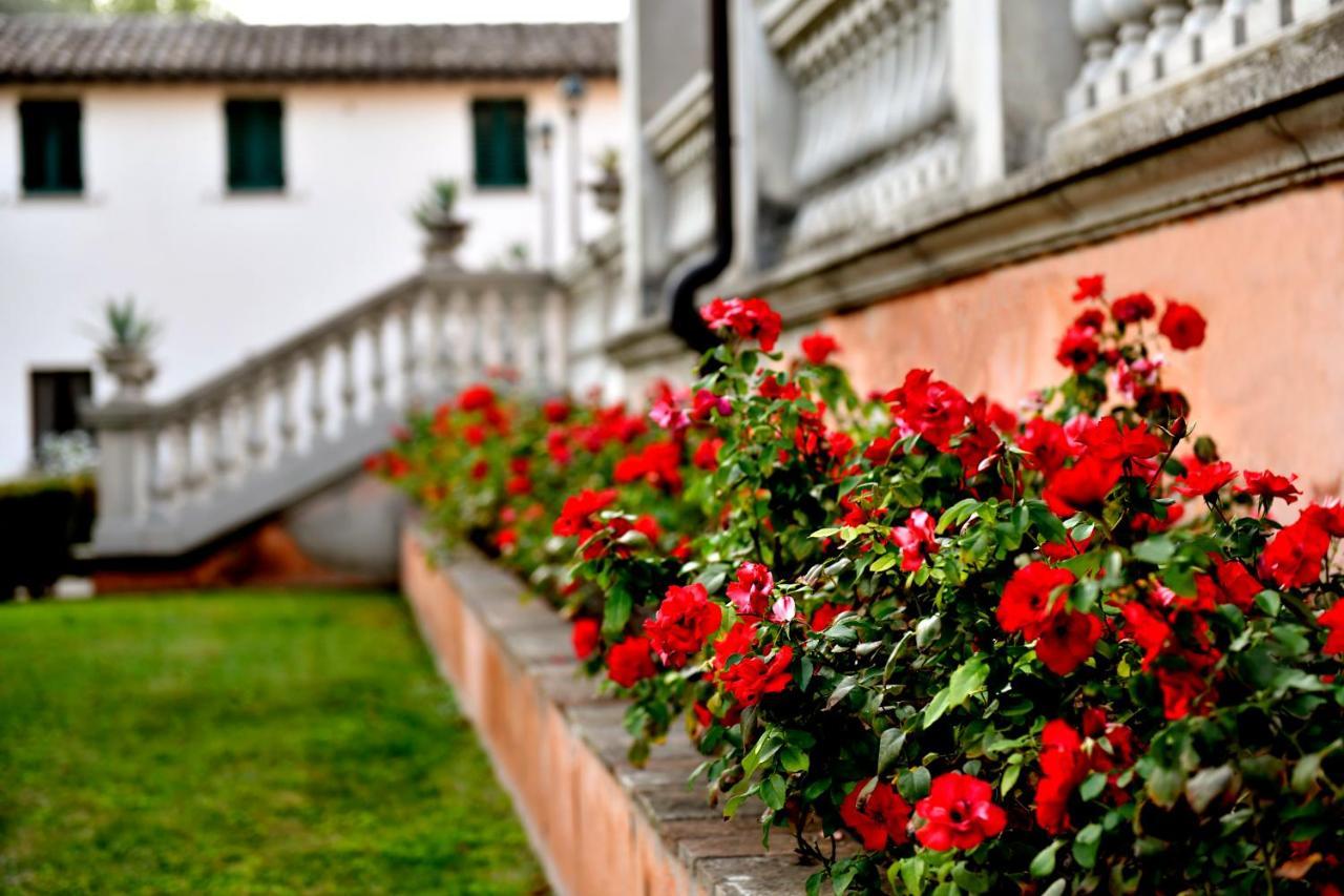 Villa Santa Barbara Montefalco Exteriör bild